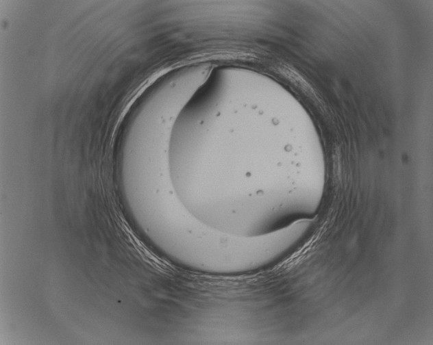 X0000066940828200604211748