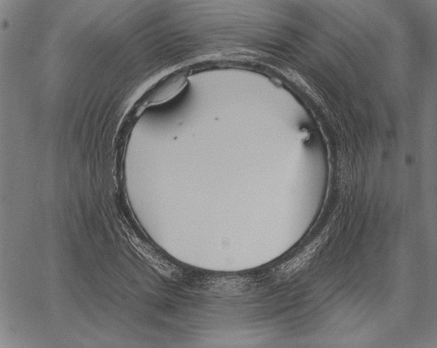 X0000066940830200604211748