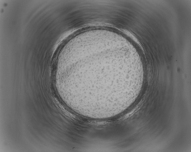 X0000066940831200604211748