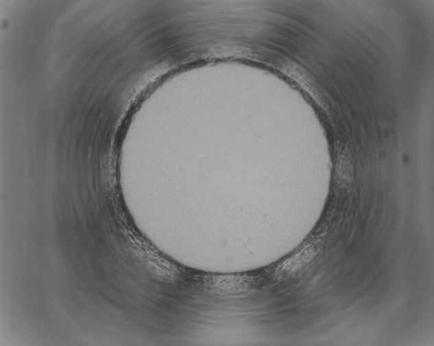 X0000066940832200604211748