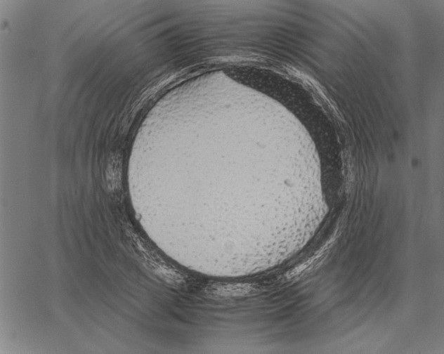 X0000066940833200604211748