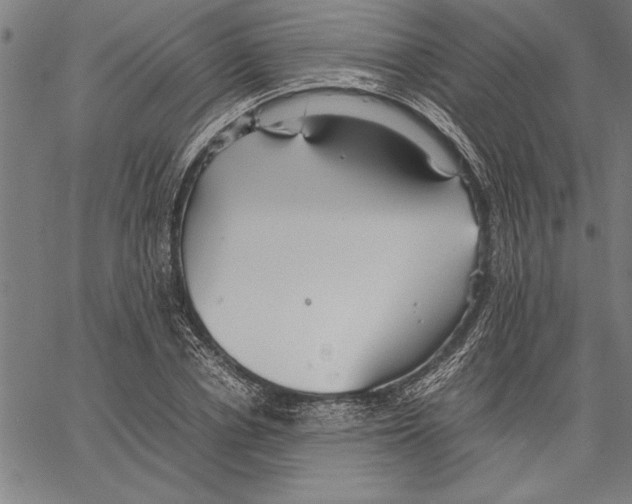 X0000066940834200604211748