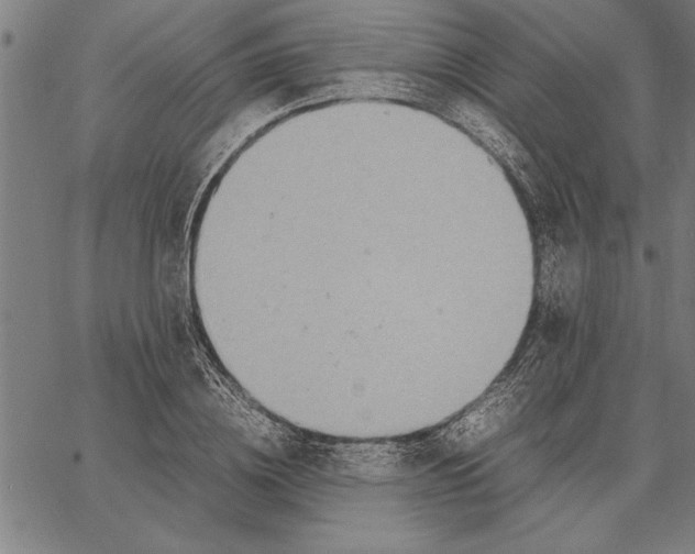 X0000066940836200604211748