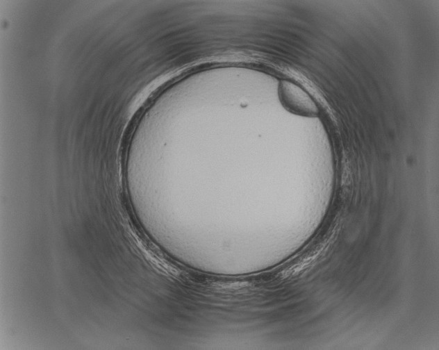 X0000066940837200604211748