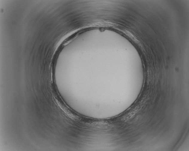 X0000066940838200604211748