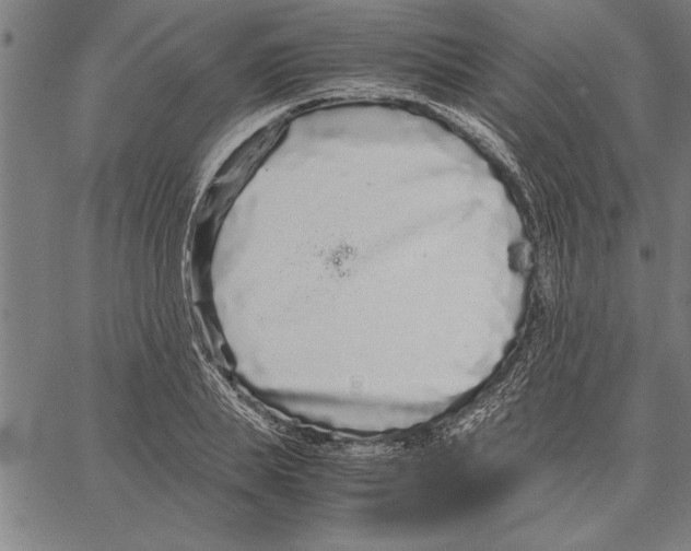 X0000066940839200604211748