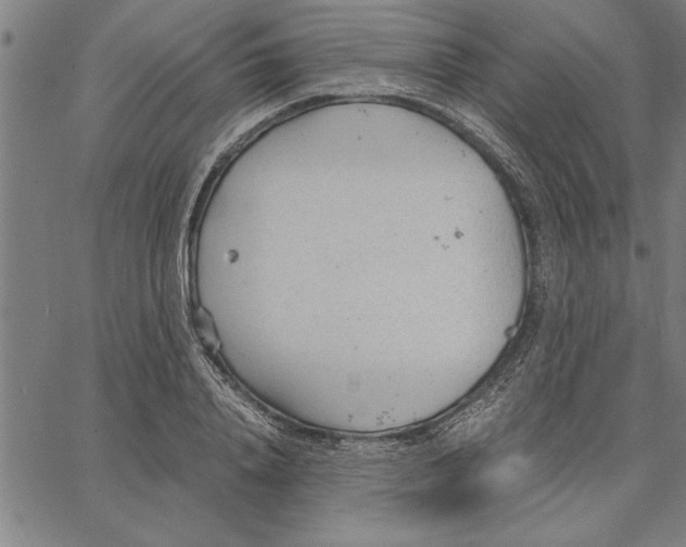 X0000066940840200604211748