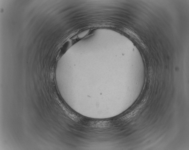 X0000066940841200604211748