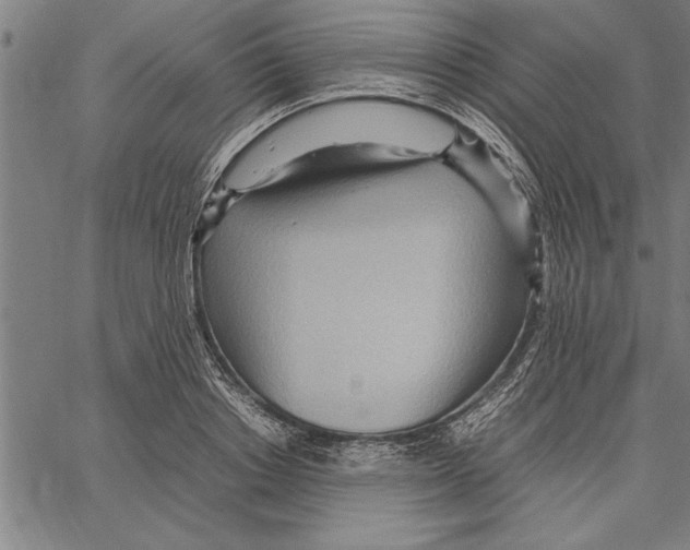 X0000066940842200604211748