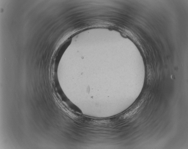 X0000066940843200604211748