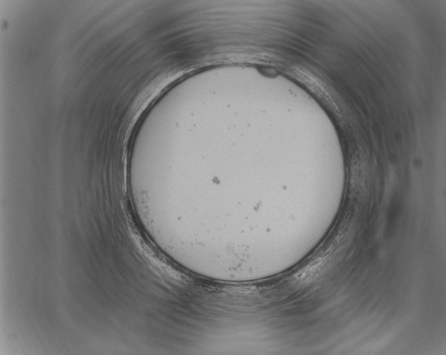 X0000066940844200604211748