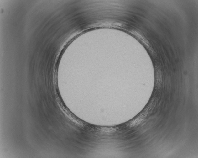 X0000066940848200604211748