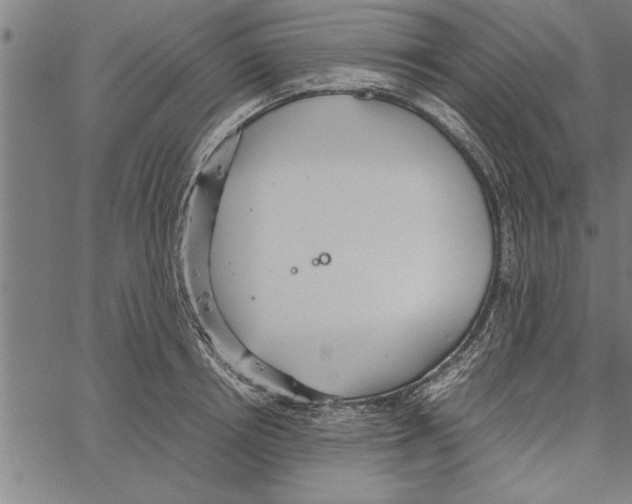 X0000066940850200604211748