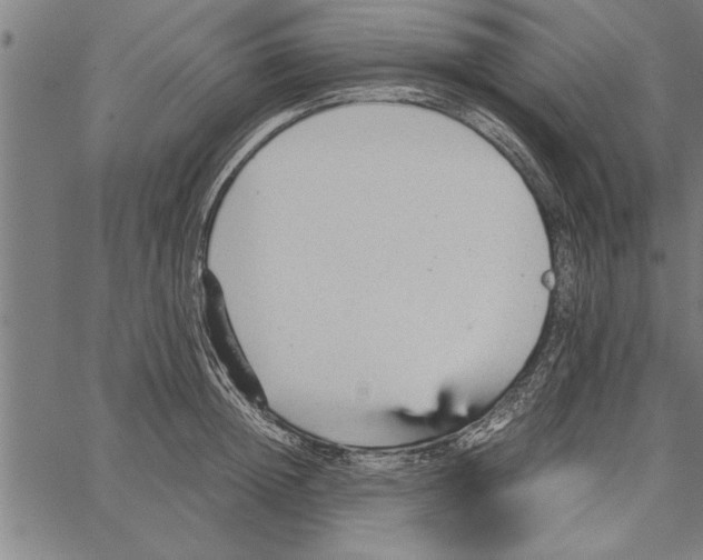 X0000066940852200604211748