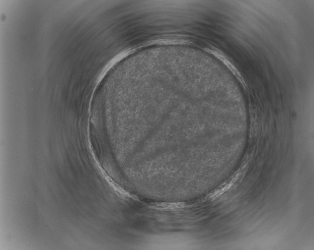 X0000066940853200604211748