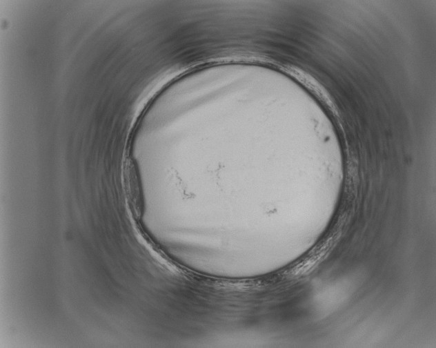 X0000066940855200604211748