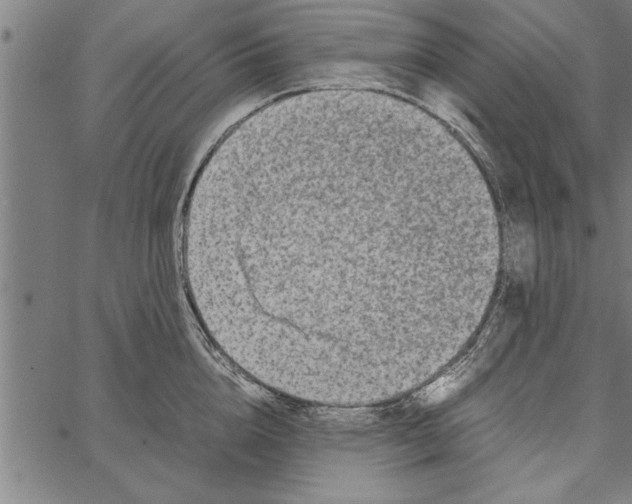 X0000066940856200604211748