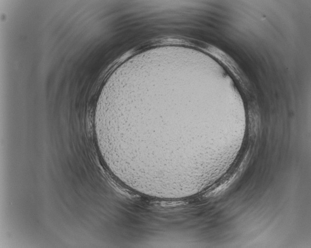 X0000066940857200604211748