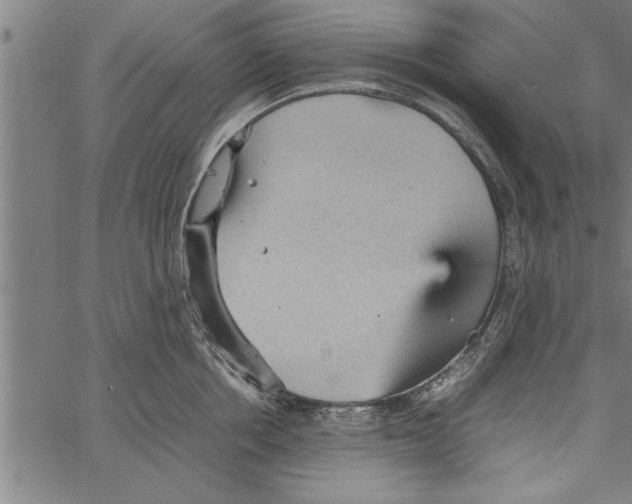 X0000066940858200604211748