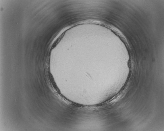 X0000066940860200604211748