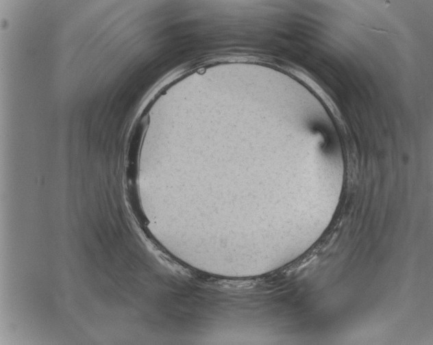 X0000066940861200604211748