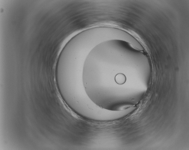 X0000066940862200604211748