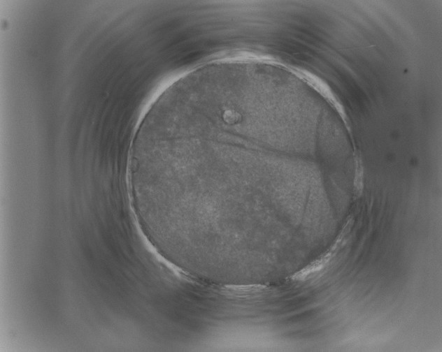 X0000066940863200604211748