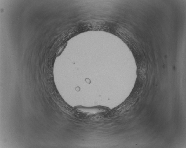 X0000066940865200604211747