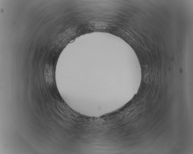 X0000066940866200604211747