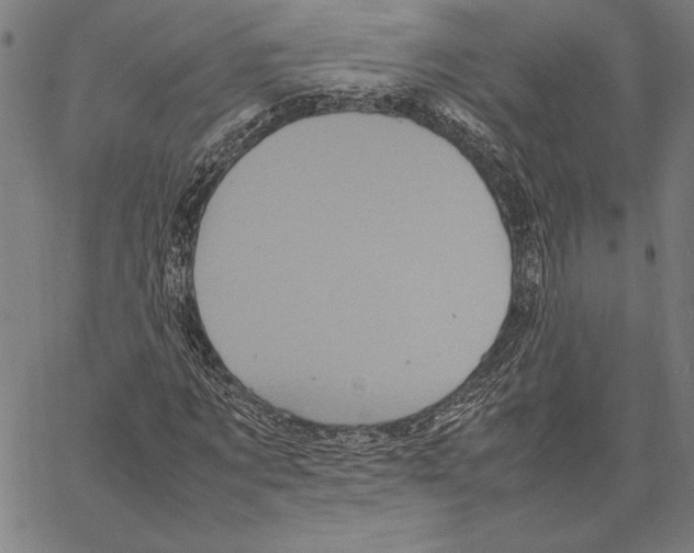 X0000066940869200604211747