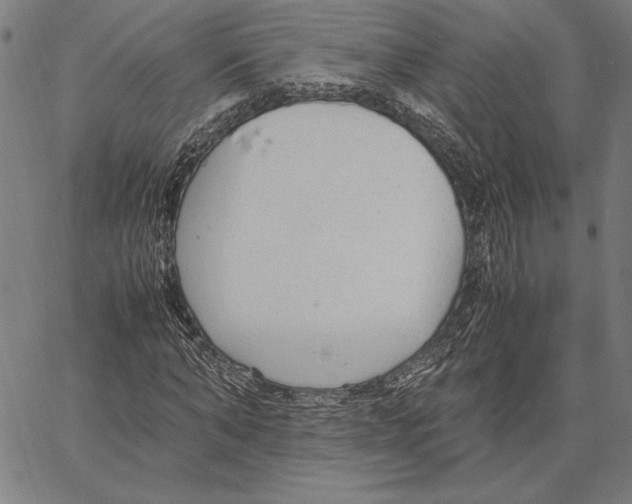 X0000066940870200604211747