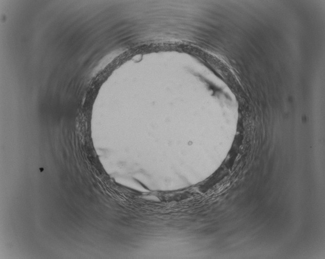 X0000066940871200604211747