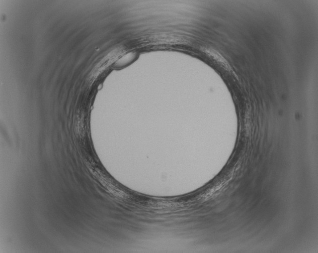 X0000066940873200604211747