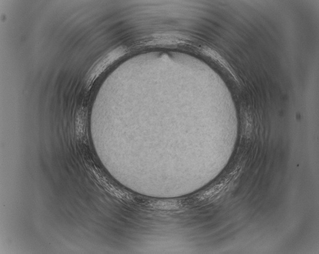 X0000066940874200604211747