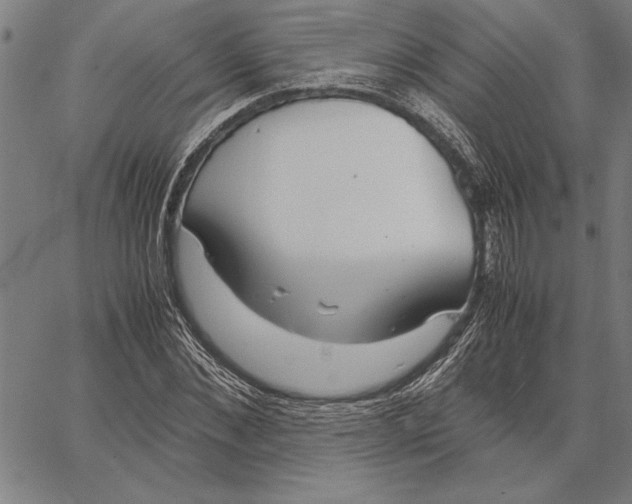 X0000066940876200604211747