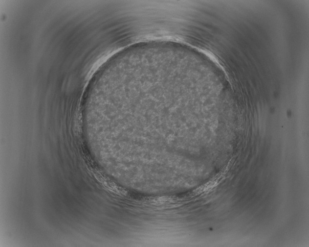 X0000066940879200604211747