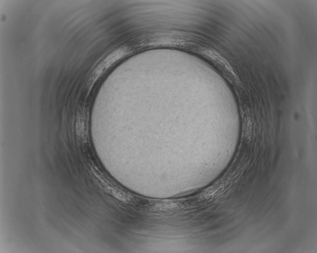 X0000066940882200604211747