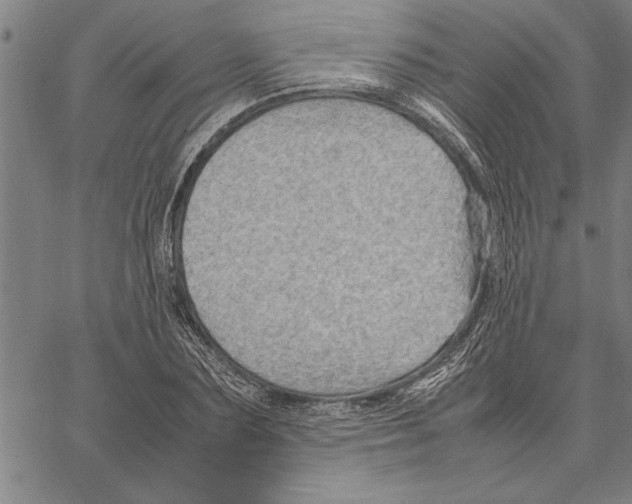 X0000066940883200604211747