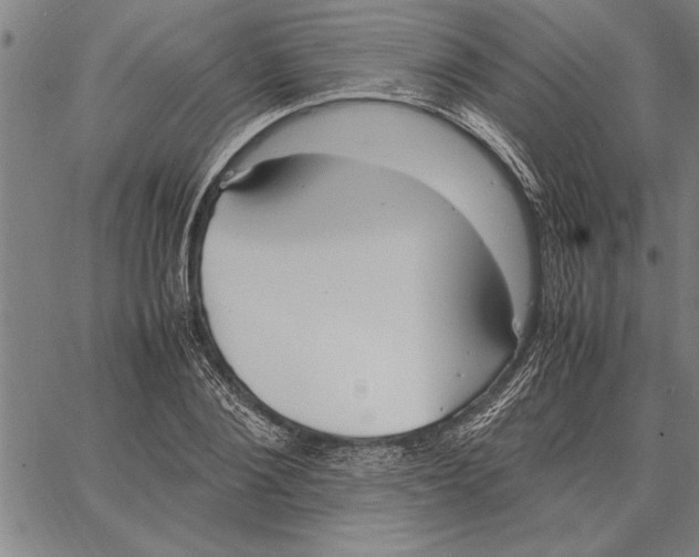 X0000066940884200604211747