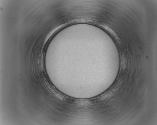 X0000066940886200604211747