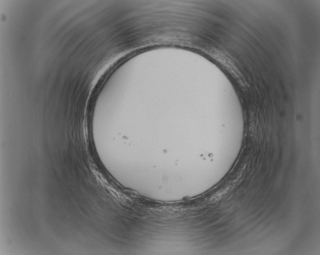 X0000066940888200604211747