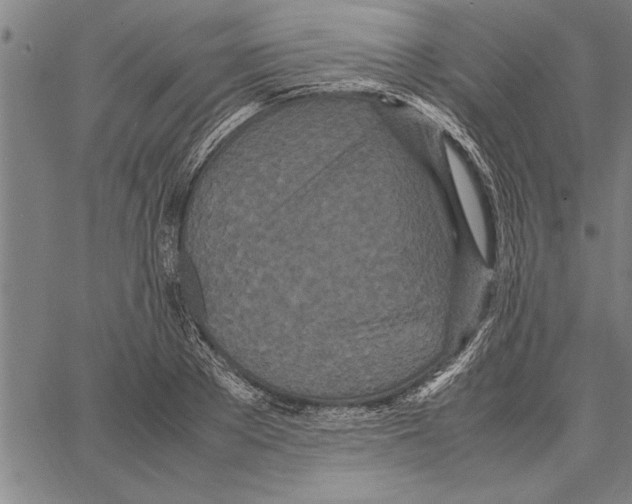 X0000066940889200604211747