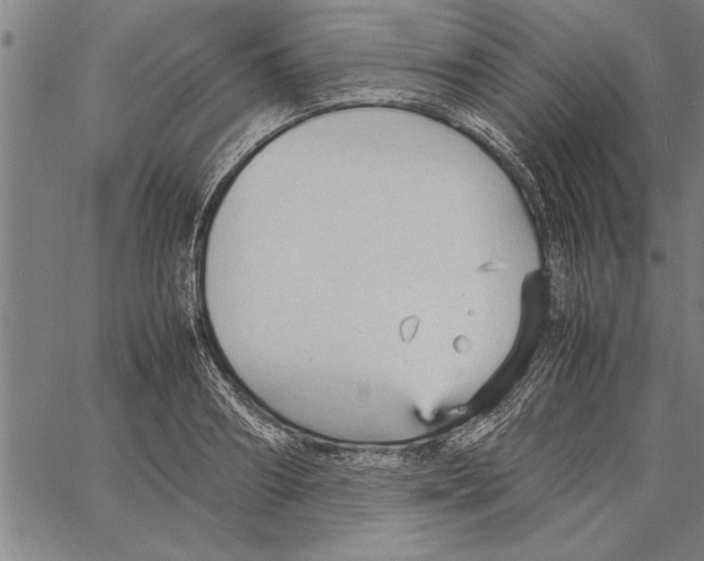 X0000066940890200604211747