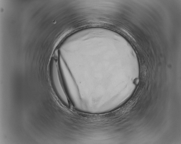 X0000066940891200604211747