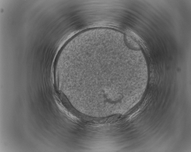 X0000066940892200604211747