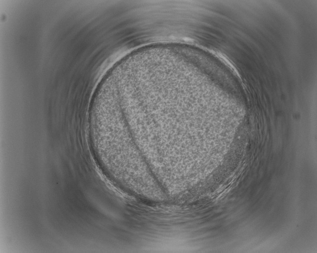 X0000066940895200604211747