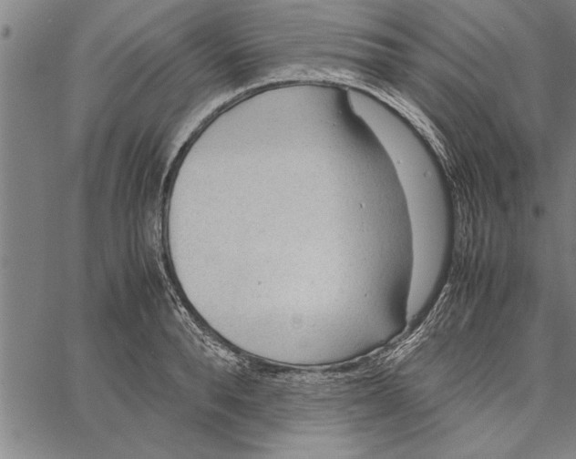 X0000066940896200604211747