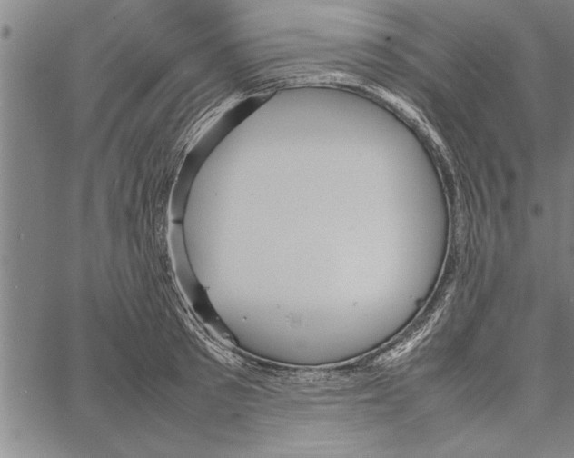 X0000066940897200604211747