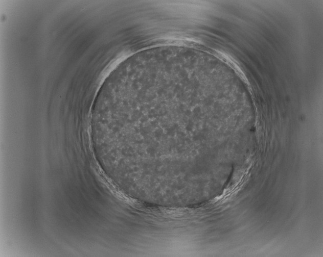 X0000066940899200604211747