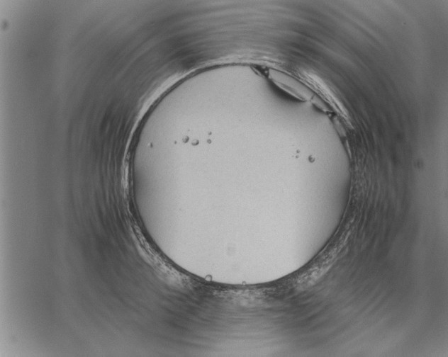 X0000066940900200604211747